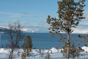 IMG_7557