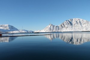 IMG_7587