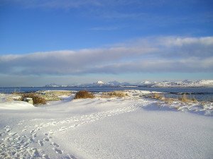 P1010053
