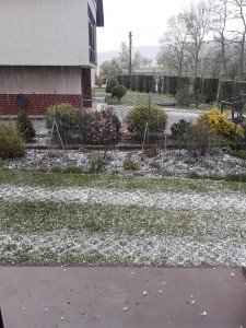 20170418_155828