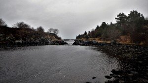 DSCN2059