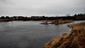 DSCN2075