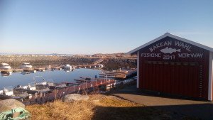 IMG_0281