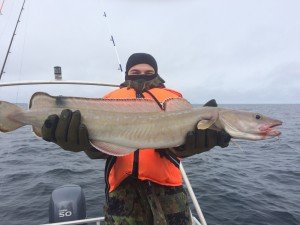 IMG_0294