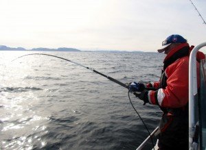 IMG_1674-800x583