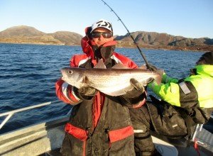 IMG_1696-800x587