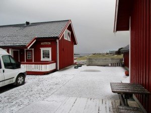 IMG_1796-800x597