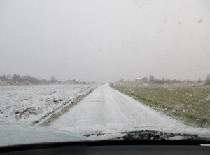 IMG_1797-800x590
