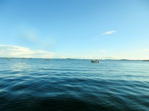 IMG_1799-800x600