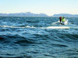 IMG_1836-800x599-1