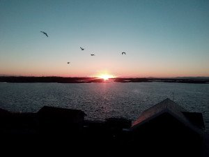 IMG_20160905_062936