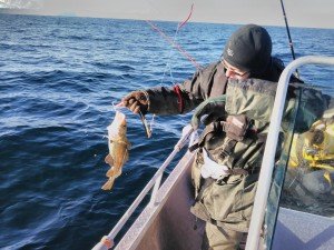 IMG_20170402_113214