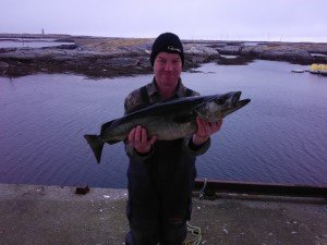IMG_20170419_103757-1