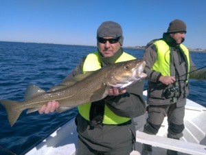 IMG_20170428_124701