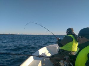 IMG_20170428_192928