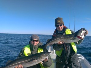 IMG_20170429_102328
