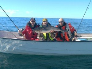 IMG_20170429_130535
