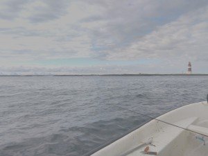 IMG_20170430_095431