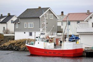 IMG_5153