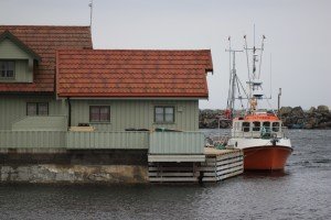 IMG_5158