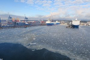 IMG_7864