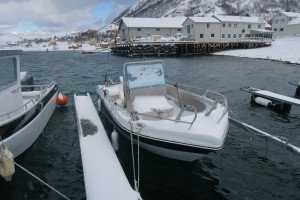 IMG_7884