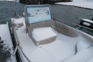 IMG_7886