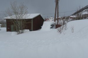 IMG_7918