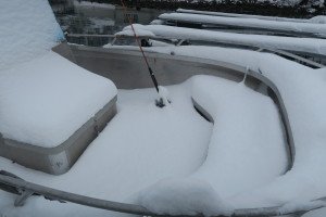 IMG_7925