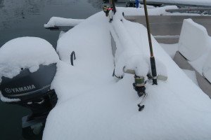 IMG_7928