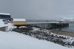 IMG_7930