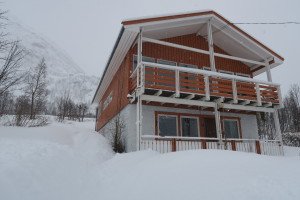 IMG_7934