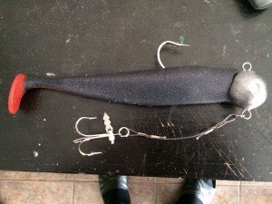 IMG-20170503-WA0002