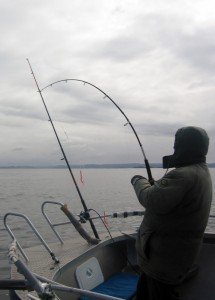 IMG_0128-574x800