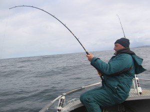 IMG_0132