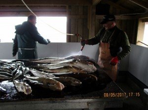 IMG_0604-800x595