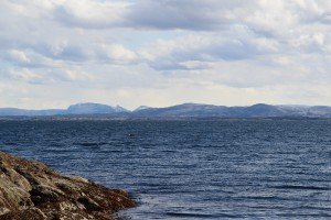 IMG_1729