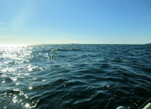 IMG_1849-800x577