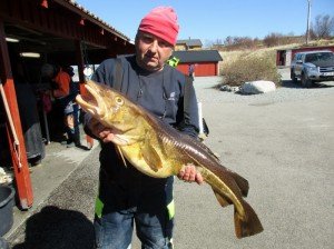 IMG_1854-800x596