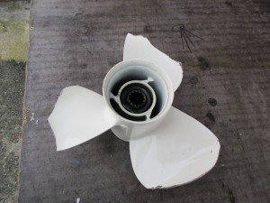 IMG_1904-800x600