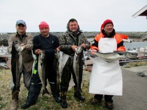 IMG_1907-800x600