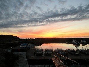 IMG_1974-800x600