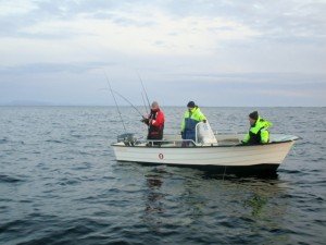 IMG_1991-800x599