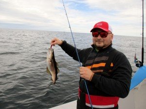 IMG_2011-800x600