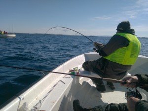 IMG_20170502_122501