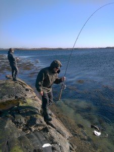 IMG_20170503_182159