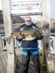 IMG_20170511_193445