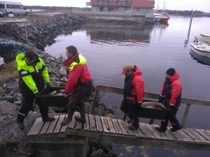 IMG_20170515_124332