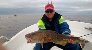 IMG_20170516_160809-800x437