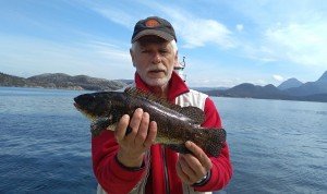 IMG_20170527_140623